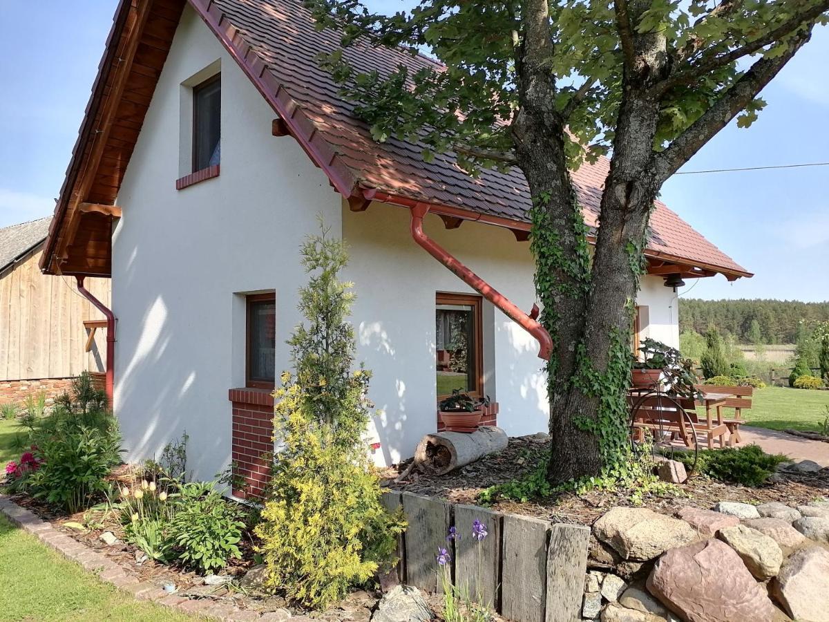 Domek Czerwony Kapturek Villa Plocice Exteriör bild