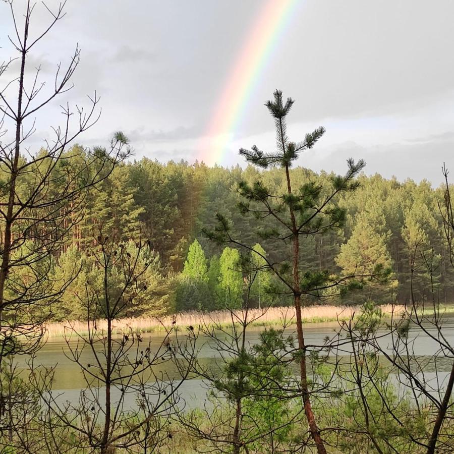 Domek Czerwony Kapturek Villa Plocice Exteriör bild