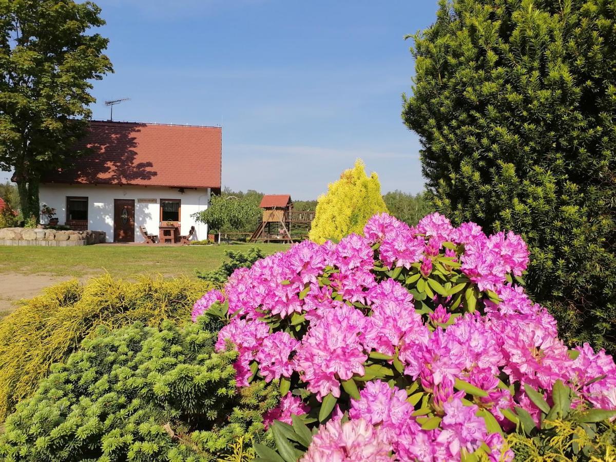 Domek Czerwony Kapturek Villa Plocice Exteriör bild